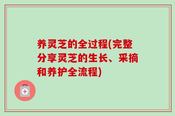 养灵芝的全过程(完整分享灵芝的生长、采摘和养护全流程)