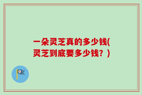 一朵灵芝真的多少钱(灵芝到底要多少钱？)
