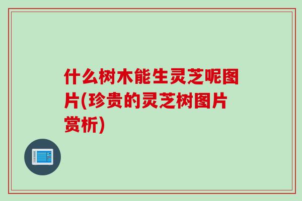 什么树木能生灵芝呢图片(珍贵的灵芝树图片赏析)