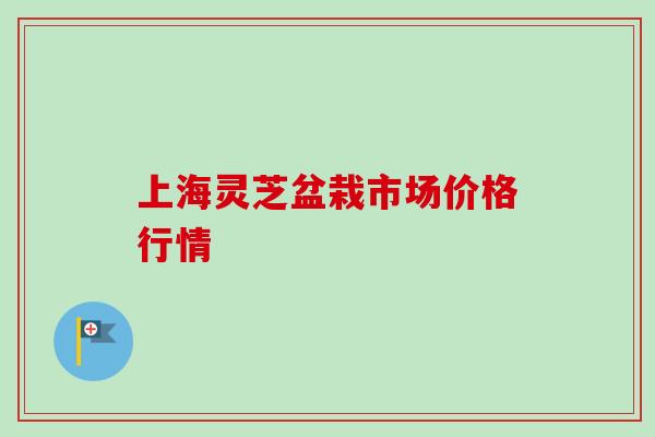 上海灵芝盆栽市场价格行情