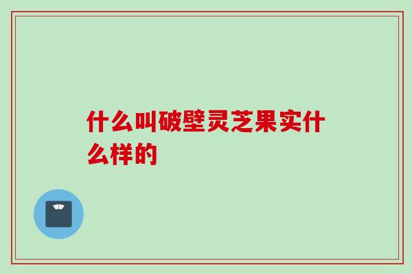 什么叫破壁灵芝果实什么样的