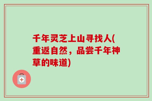 千年灵芝上山寻找人(重返自然，品尝千年神草的味道)