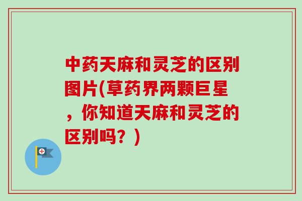中药天麻和灵芝的区别图片(草药界两颗巨星，你知道天麻和灵芝的区别吗？)