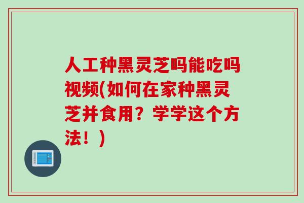 人工种黑灵芝吗能吃吗视频(如何在家种黑灵芝并食用？学学这个方法！)