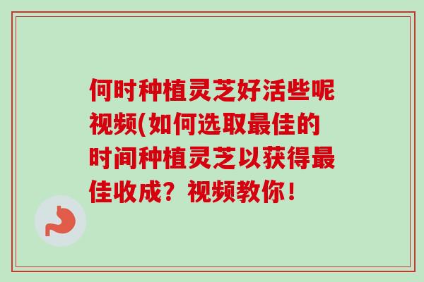 何时种植灵芝好活些呢视频(如何选取最佳的时间种植灵芝以获得最佳收成？视频教你！