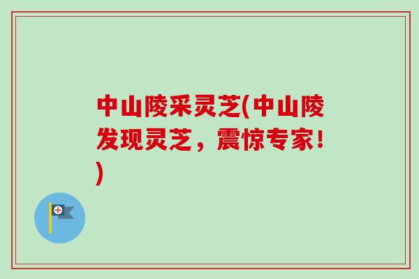 中山陵采灵芝(中山陵发现灵芝，震惊专家！)