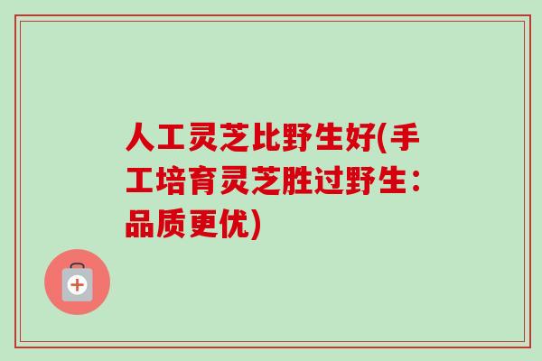 人工灵芝比野生好(手工培育灵芝胜过野生：品质更优)