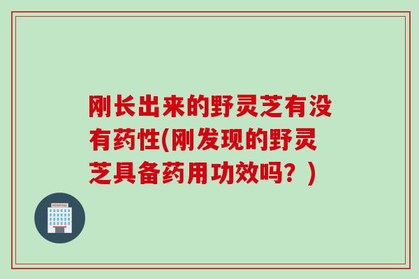 刚长出来的野灵芝有没有药性(刚发现的野灵芝具备药用功效吗？)