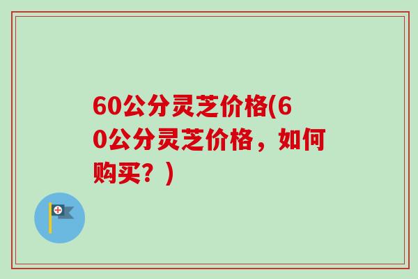 60公分灵芝价格(60公分灵芝价格，如何购买？)