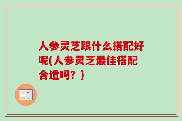 人参灵芝跟什么搭配好呢(人参灵芝最佳搭配合适吗？)