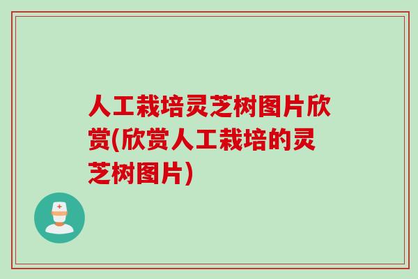 人工栽培灵芝树图片欣赏(欣赏人工栽培的灵芝树图片) 人工栽培灵芝树图片欣赏(欣赏人工栽培的灵芝树图片)