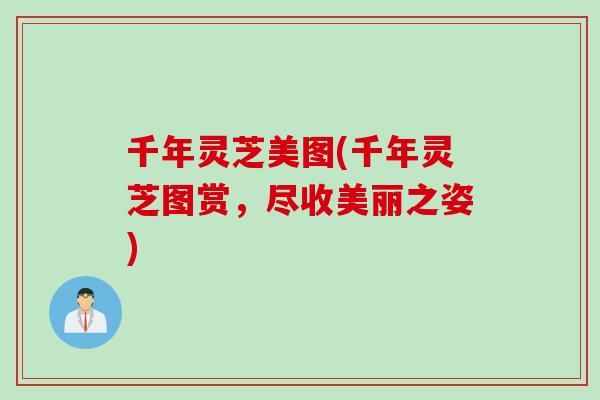 千年灵芝美图(千年灵芝图赏，尽收美丽之姿)