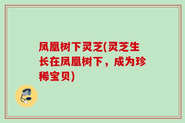 凤凰树下灵芝(灵芝生长在凤凰树下，成为珍稀宝贝)