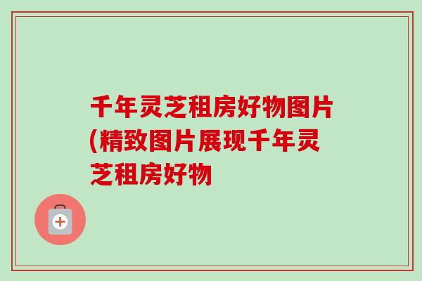 千年灵芝租房好物图片(精致图片展现千年灵芝租房好物