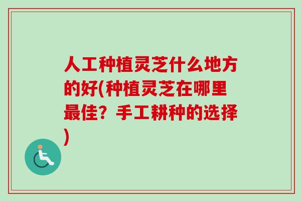 人工种植灵芝什么地方的好(种植灵芝在哪里最佳？手工耕种的选择)