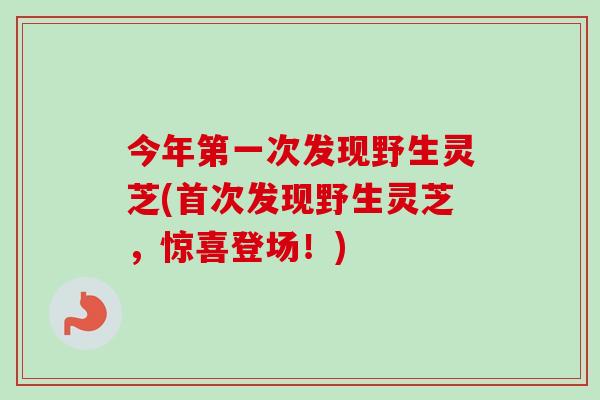 今年第一次发现野生灵芝(首次发现野生灵芝，惊喜登场！)