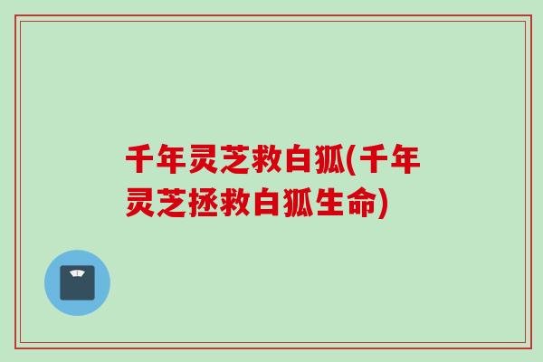 千年灵芝救白狐(千年灵芝拯救白狐生命)