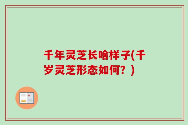 千年灵芝长啥样子(千岁灵芝形态如何?) 千年灵芝长啥样子(千岁灵芝形态如何?)