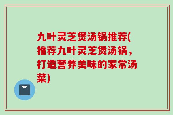 九叶灵芝煲汤锅推荐(推荐九叶灵芝煲汤锅，打造营养美味的家常汤菜)