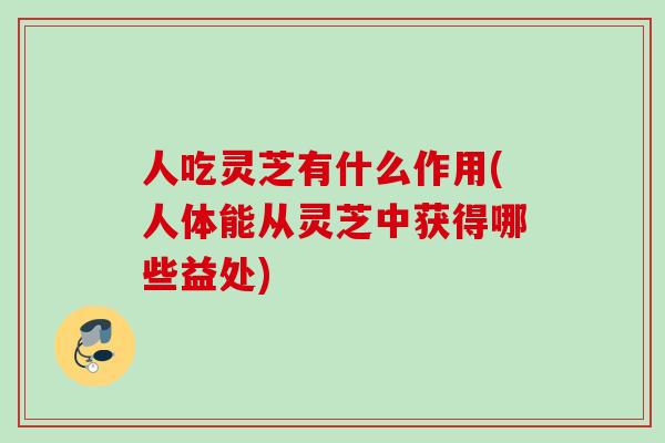 人吃灵芝有什么作用(人体能从灵芝中获得哪些益处) 人吃灵芝有什么作用(人体能从灵芝中获得哪些益处)