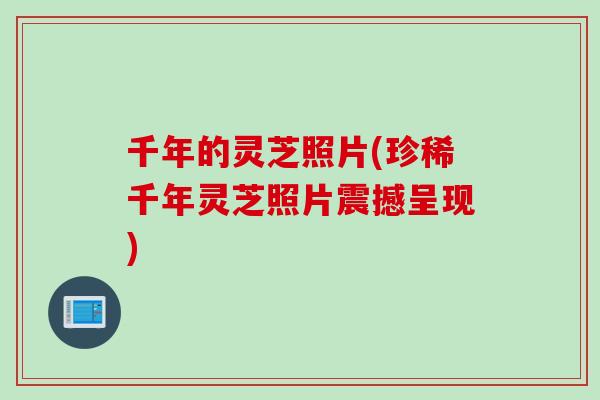 千年的灵芝照片(珍稀千年灵芝照片震撼呈现)