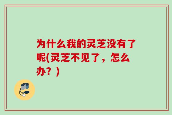 为什么我的灵芝没有了呢(灵芝不见了，怎么办？)