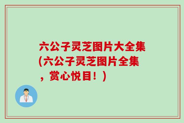 六公子灵芝图片大全集(六公子灵芝图片全集,赏心悦目!) 六公子灵芝图片大全集(六公子灵芝图片全集,赏心悦目!)