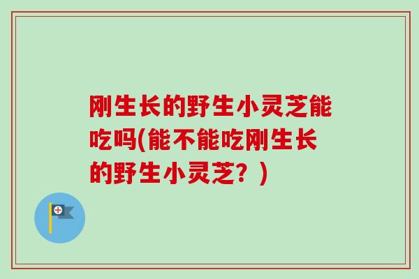 刚生长的野生小灵芝能吃吗(能不能吃刚生长的野生小灵芝？)