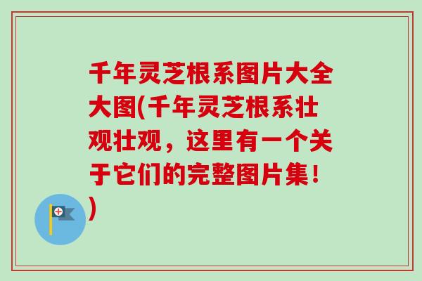 千年灵芝根系图片大全大图(千年灵芝根系壮观壮观，这里有一个关于它们的完整图片集！)