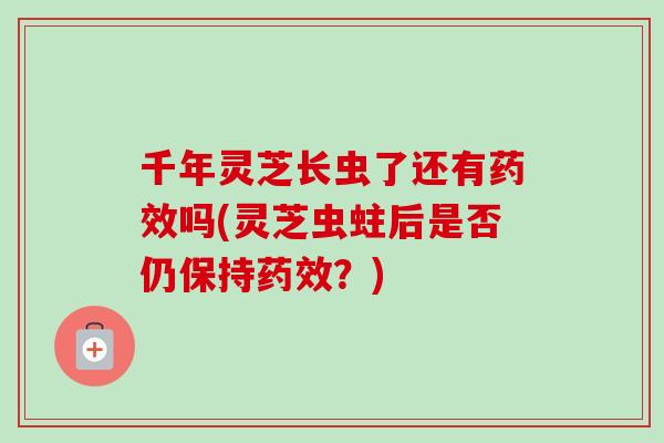 千年灵芝长虫了还有药效吗(灵芝虫蛀后是否仍保持药效？)