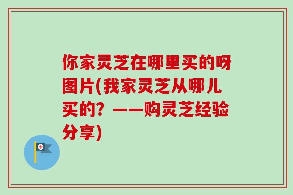 你家灵芝在哪里买的呀图片(我家灵芝从哪儿买的？——购灵芝经验分享)