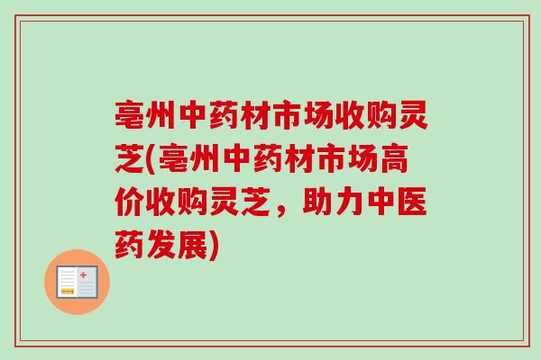 亳州中药材市场收购灵芝(亳州中药材市场高价收购灵芝，助力中医药发展)