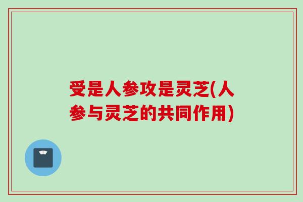受是人参攻是灵芝(人参与灵芝的共同作用)