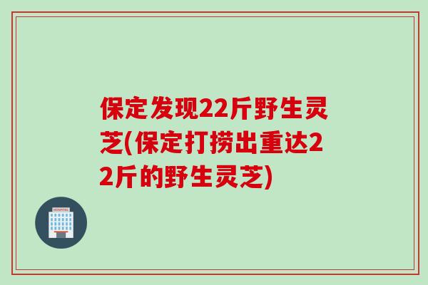 保定发现22斤野生灵芝(保定打捞出重达22斤的野生灵芝)