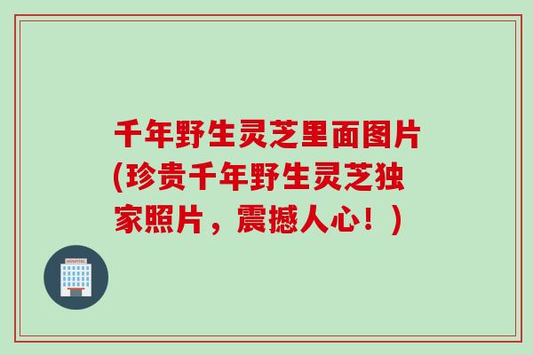 千年野生灵芝里面图片(珍贵千年野生灵芝独家照片，震撼人心！)
