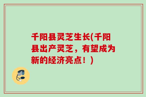 千阳县灵芝生长(千阳县出产灵芝，有望成为新的经济亮点！)