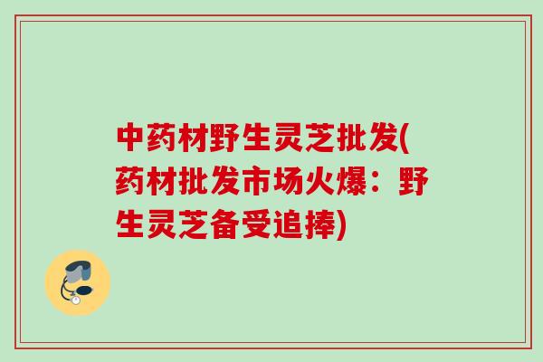 中药材野生灵芝批发(药材批发市场火爆：野生灵芝备受追捧)