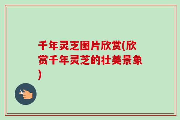 千年灵芝图片欣赏(欣赏千年灵芝的壮美景象)