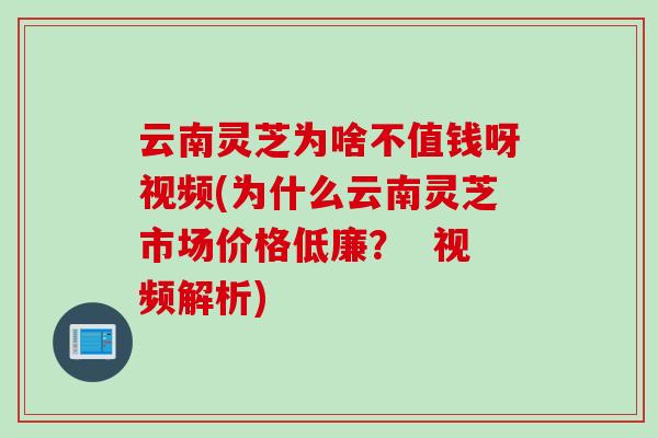 云南灵芝为啥不值钱呀视频(为什么云南灵芝市场价格低廉? 视频解析) 云南灵芝为啥不值钱呀视频(为什么云南灵芝市场价格低廉? 视频解析)