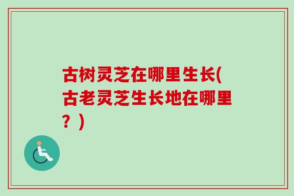 古树灵芝在哪里生长(古老灵芝生长地在哪里？)