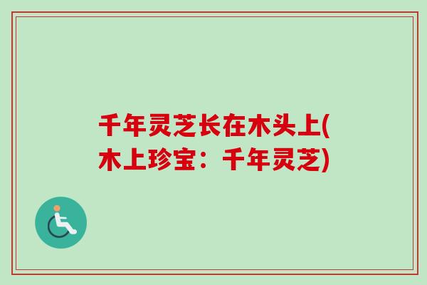 千年灵芝长在木头上(木上珍宝：千年灵芝)