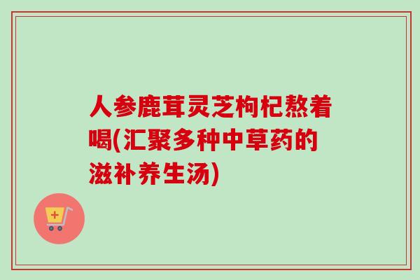 人参鹿茸灵芝枸杞熬着喝(汇聚多种中草药的滋补养生汤)