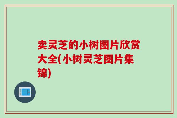 卖灵芝的小树图片欣赏大全(小树灵芝图片集锦)