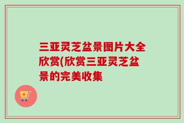 三亚灵芝盆景图片大全欣赏(欣赏三亚灵芝盆景的完美收集