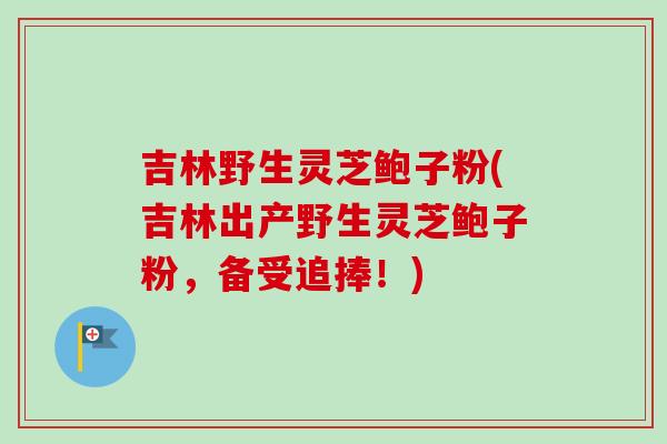 吉林野生灵芝鲍子粉(吉林出产野生灵芝鲍子粉,备受追捧!) 吉林野生灵芝鲍子粉(吉林出产野生灵芝鲍子粉,备受追捧!)