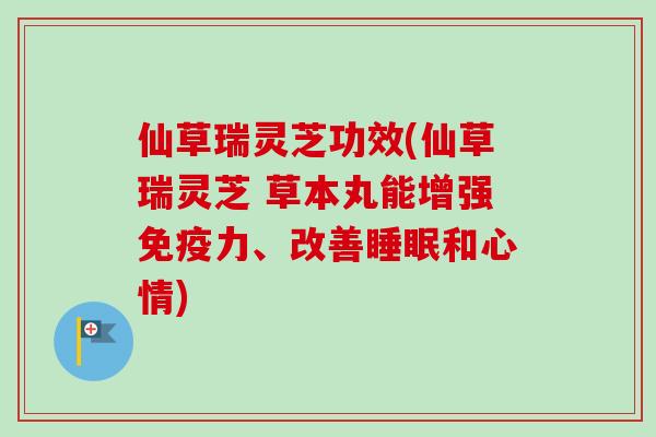 仙草瑞灵芝功效(仙草瑞灵芝 草本丸能增强免疫力、改善睡眠和心情)