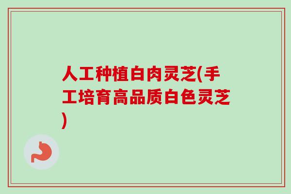 人工种植白肉灵芝(手工培育高品质白色灵芝)