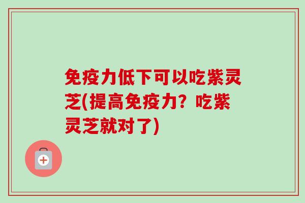 免疫力低下可以吃紫灵芝(提高免疫力？吃紫灵芝就对了)