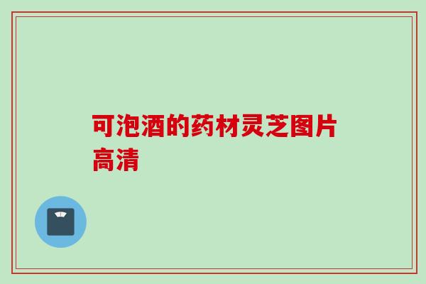 可泡酒的药材灵芝图片高清