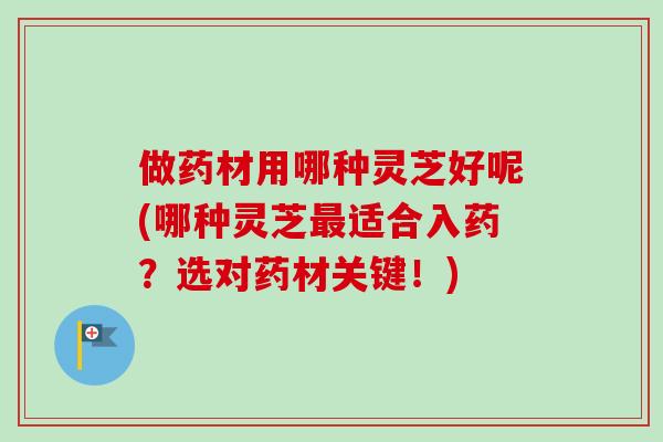 做药材用哪种灵芝好呢(哪种灵芝最适合入药？选对药材关键！)